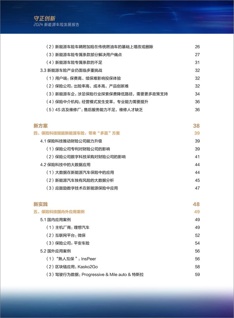 《2024新能源车险发展报告-2024-82页》 - 第4页预览图