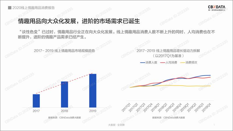 《2020线上情趣用品消费报告》 - 第5页预览图