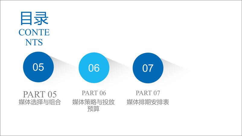 《2018江小白媒介策划书ppt.pdf》 - 第5页预览图