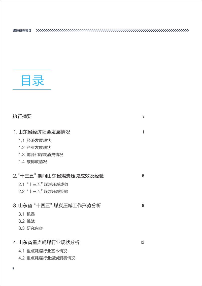 《山东省科学院生态研究所&自然资源保护协会-山东省“十四五”重点耗煤行业减煤路径研究-54页》 - 第5页预览图