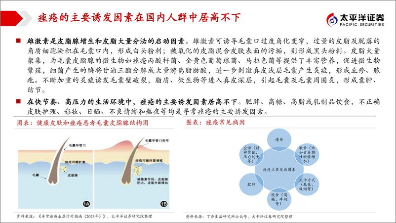 《医药行业痤疮新药专题报告：痤疮创新药迎突破，畅游“健康美”新蓝海-240416-太平洋证券-28页》 - 第5页预览图