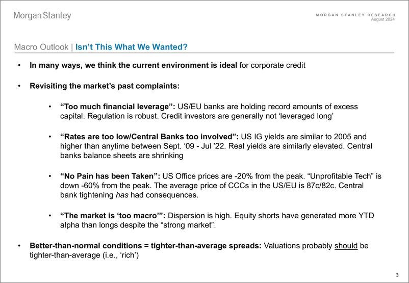 《Morgan Stanley Fixed-Global Credit Outlook - September 2024 The Critical Window-110221380》 - 第3页预览图