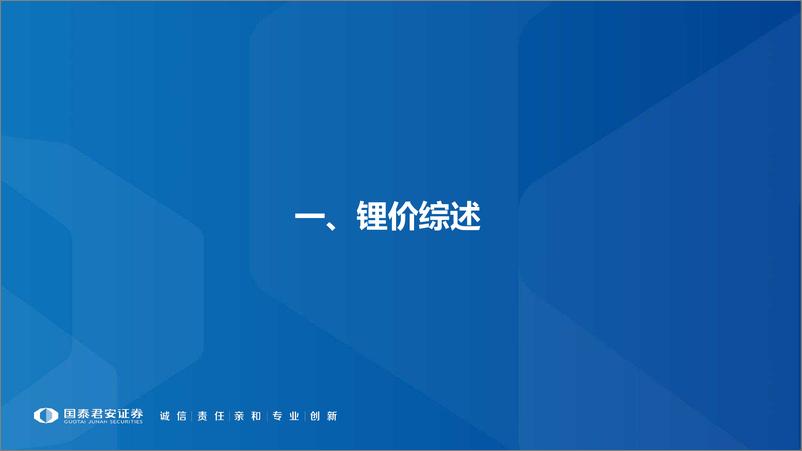 《全球锂行业报告：出清渐至，守望黎明-20191201-国泰君安-50页》 - 第5页预览图