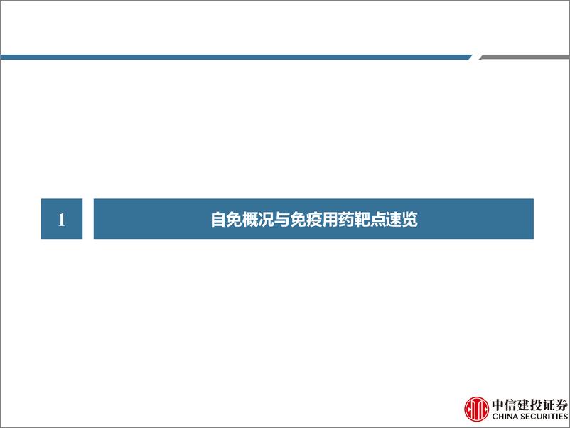 《医药行业研究·创新药系列：免疫疾病用药深度二，踏时代浪潮，自免药物乘风而起(中篇)-240718-中信建投-138页》 - 第5页预览图