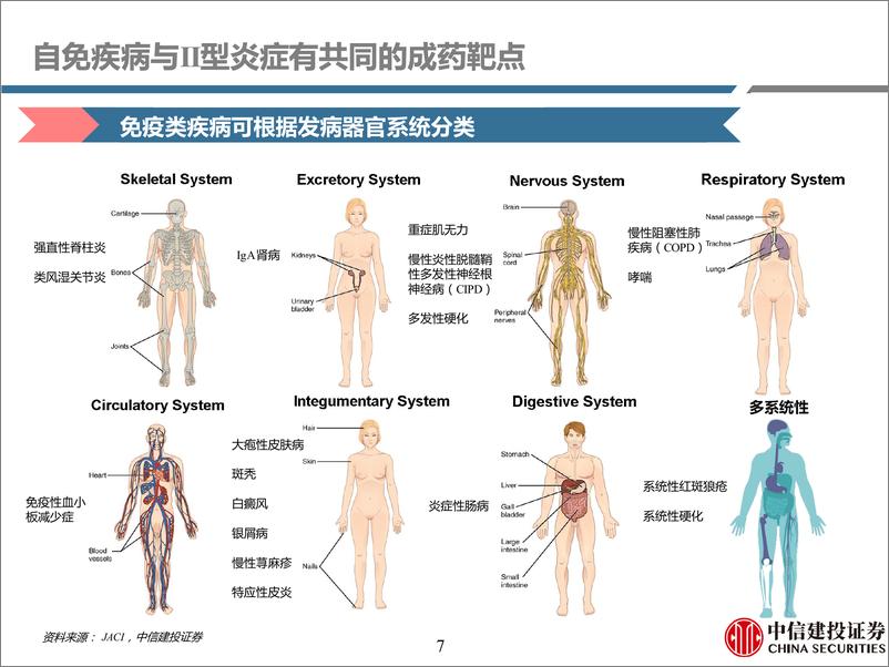 《医药行业研究·创新药系列：免疫疾病用药深度二，踏时代浪潮，自免药物乘风而起(中篇)-240718-中信建投-138页》 - 第7页预览图