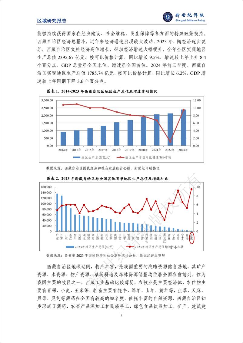 《西藏自治区及下辖市_地区_经济财政实力与债务研究_2024_》 - 第3页预览图