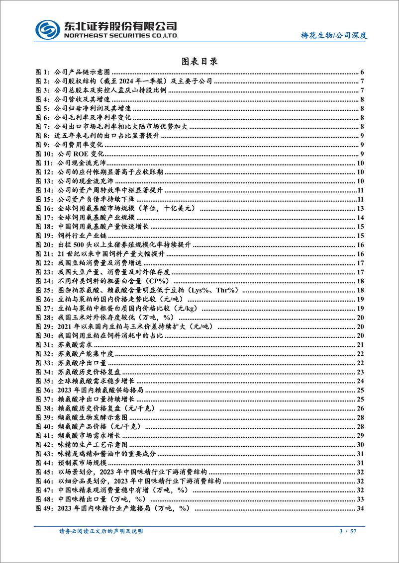 《梅花生物(600873)低估值、高分红的氨基酸全球龙头-240709-东北证券-57页》 - 第3页预览图