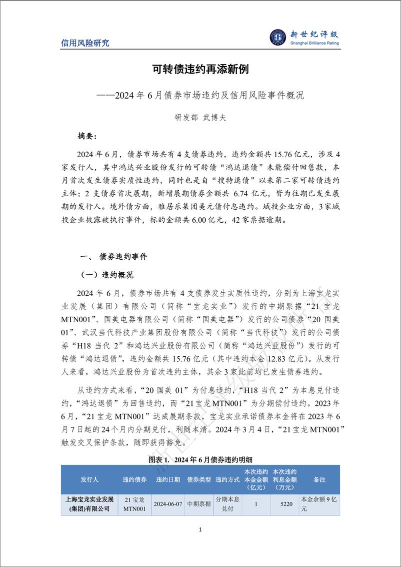 《可转债违约再添新例 ——2024年6月债券市场违约及信用风险事件概况-7页》 - 第1页预览图