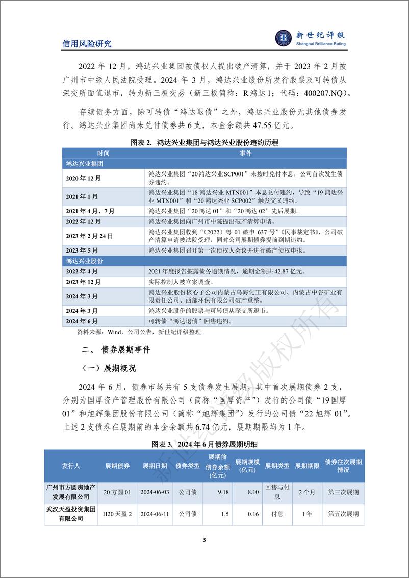 《可转债违约再添新例 ——2024年6月债券市场违约及信用风险事件概况-7页》 - 第3页预览图