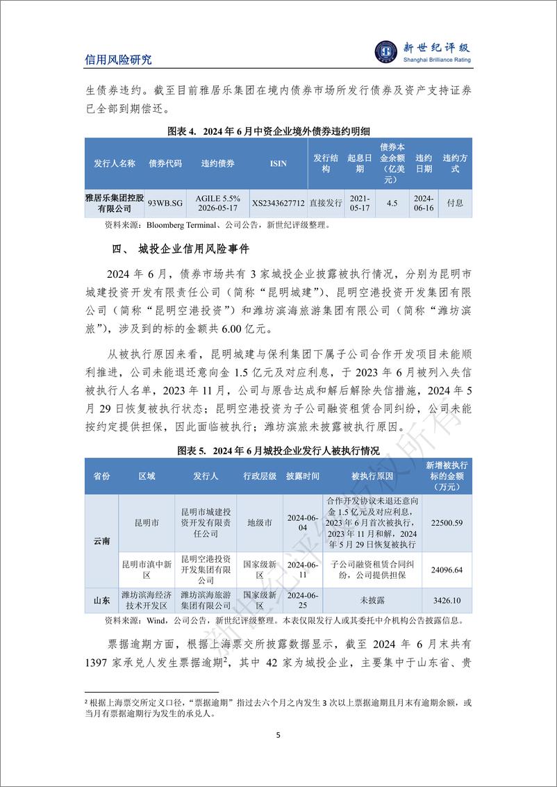 《可转债违约再添新例 ——2024年6月债券市场违约及信用风险事件概况-7页》 - 第5页预览图