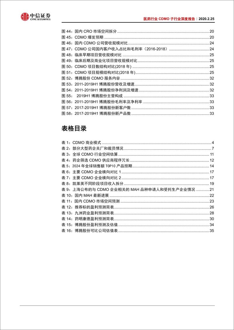 《医药行业CDMO子行业深度报告：资本政策共振，2020投资CDMO正当时-20200225-中信证券-42页》 - 第5页预览图