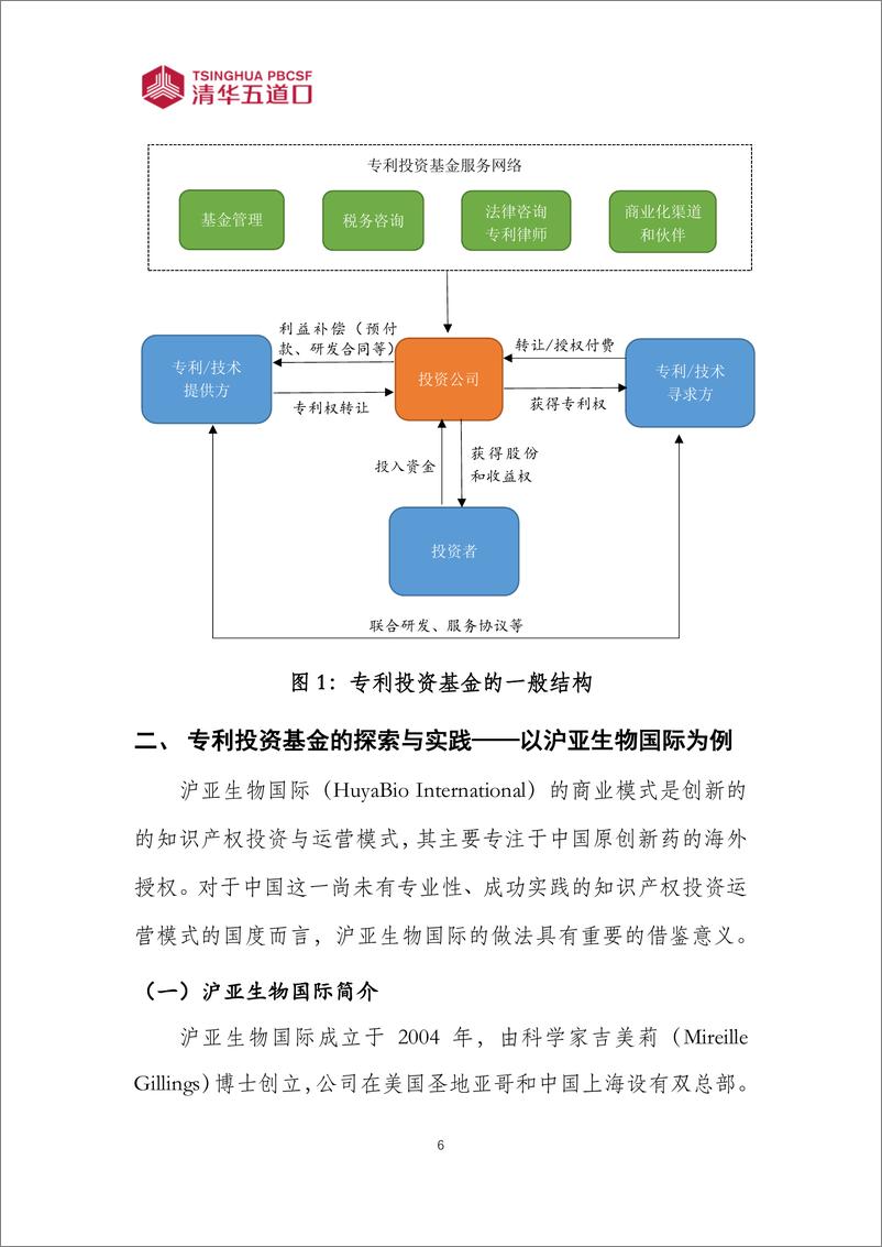 《知识产权运营与商业化探索——以沪亚生物国际为例》 - 第6页预览图