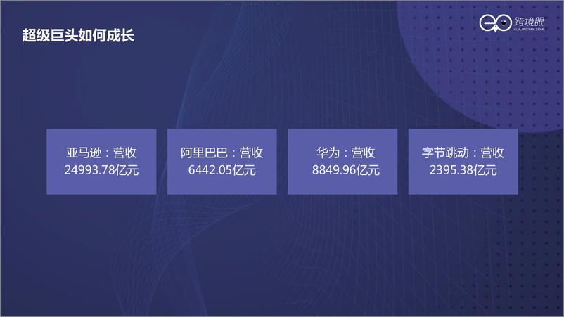 《如何打造持续增长型组织-跨境眼-2022-29页》 - 第4页预览图