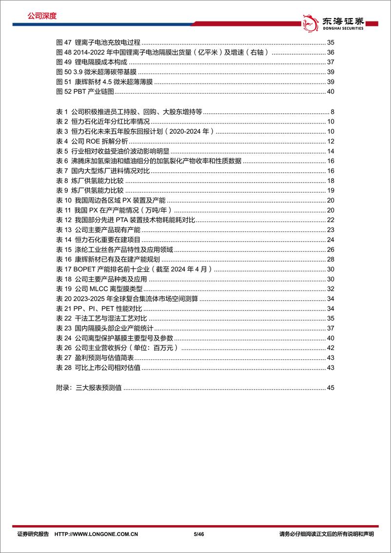 《东海证券-恒力石化-600346-公司深度报告：先发优势、布局长远，引领新材料新成长》 - 第5页预览图