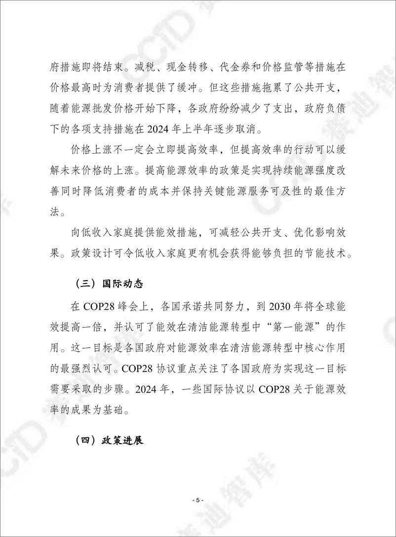 《赛迪译丛2025年第2期（总第677期）：2024年能源效率报告-加水印-24页》 - 第5页预览图