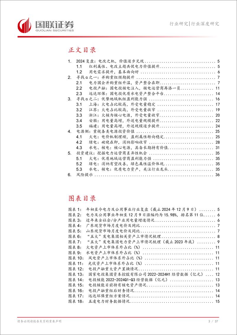 《电力行业2025年度投资策略：从并购重组与区域差异化中寻求新机遇-241229-国联证券-38页》 - 第4页预览图