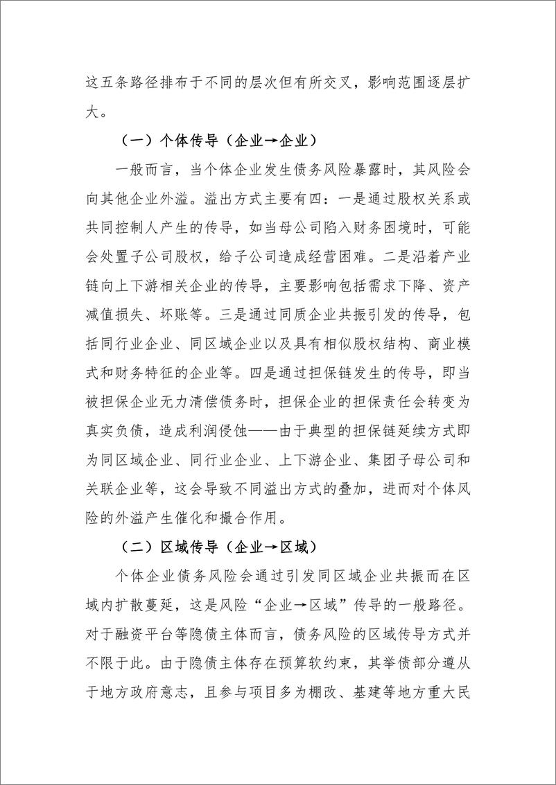 《风险传导视角下的地方政府隐性债务问题探究-20221019-东方金诚-16》 - 第4页预览图