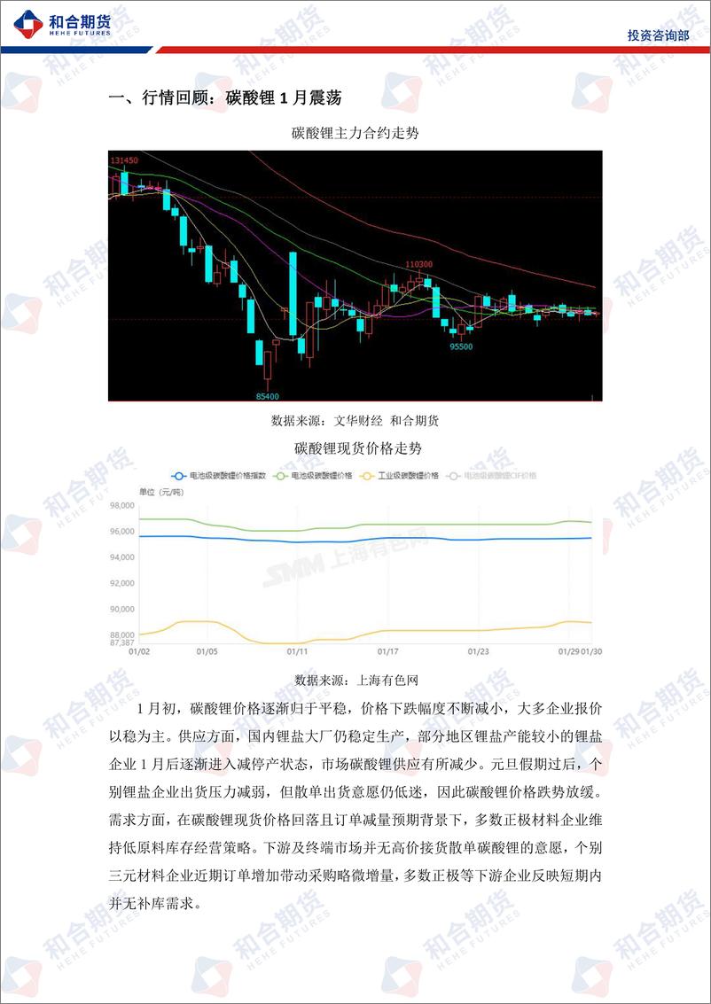 《碳酸锂月报（2024年02月）：澳矿定价模式改变我国话语权增加，碳酸锂弱势运行-20240202-和合期货-13页》 - 第3页预览图