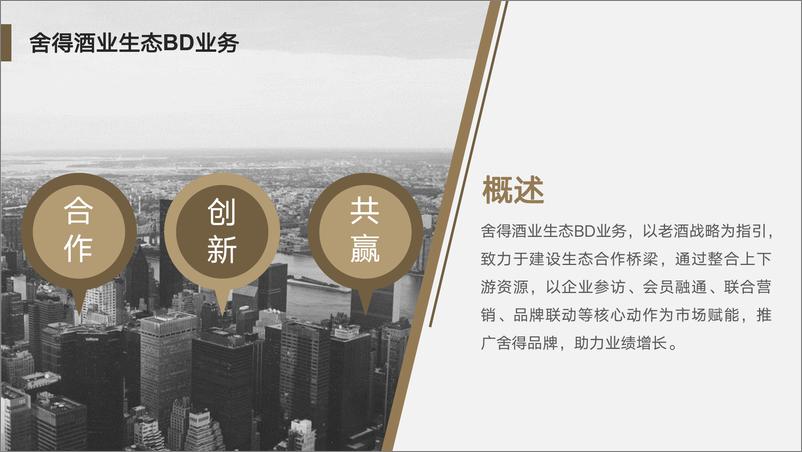 《舍得酒业生态BD合作展望》 - 第4页预览图