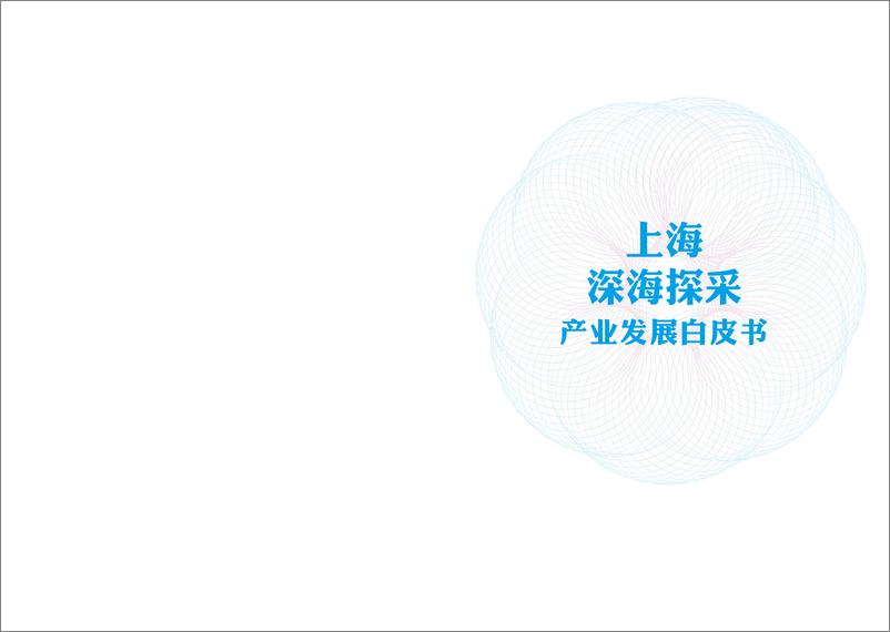 《2024上海深海探采产业发展白皮书》 - 第2页预览图