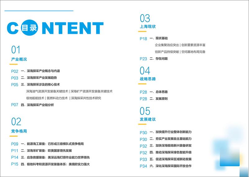 《2024上海深海探采产业发展白皮书》 - 第4页预览图