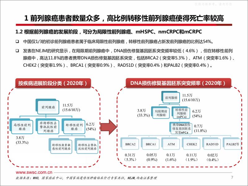 《西南证券-医药生物行业创新药专题：前列腺癌广阔市场，精准治疗开疆拓土-230619》 - 第8页预览图