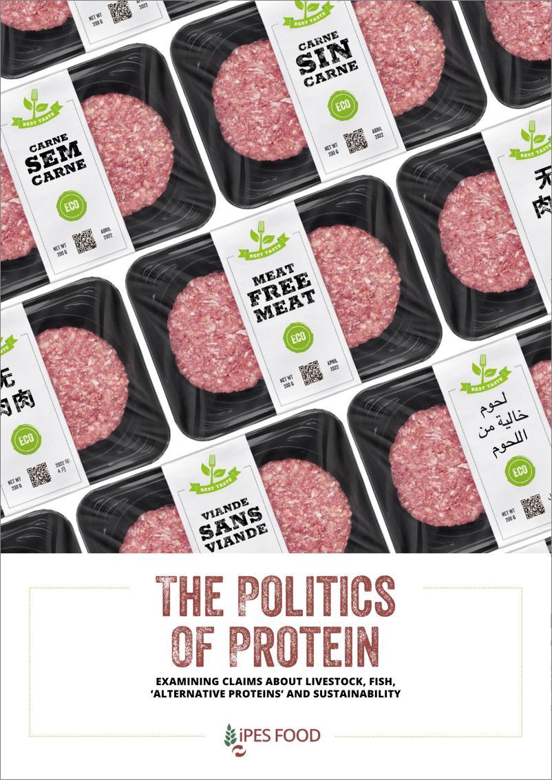 《iPES FOOD：2022蛋白质政治学报告（英文版）》 - 第1页预览图