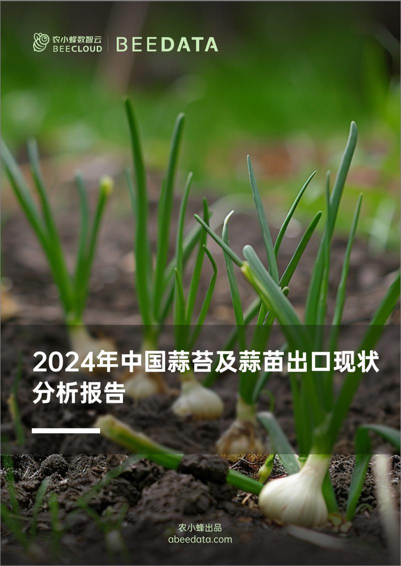 《农小蜂-2024年中国蒜苔及蒜苗出口现状分析报告-23页》 - 第1页预览图