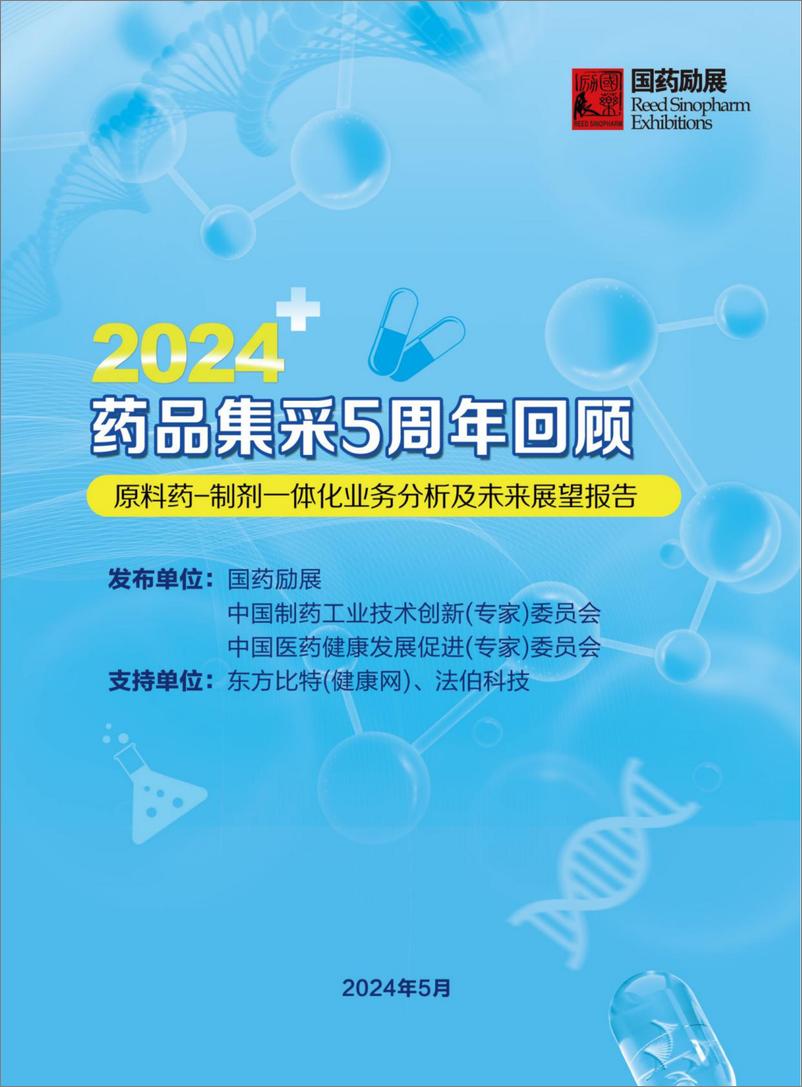 《2024集采5周年回顾一原料药-制剂一体化业务分析及未来展望报告》 - 第1页预览图