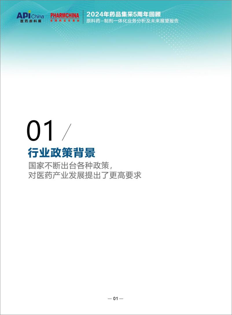 《2024集采5周年回顾一原料药-制剂一体化业务分析及未来展望报告》 - 第6页预览图