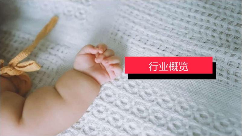 《小红书母婴行业月报（2024年3月）》 - 第3页预览图