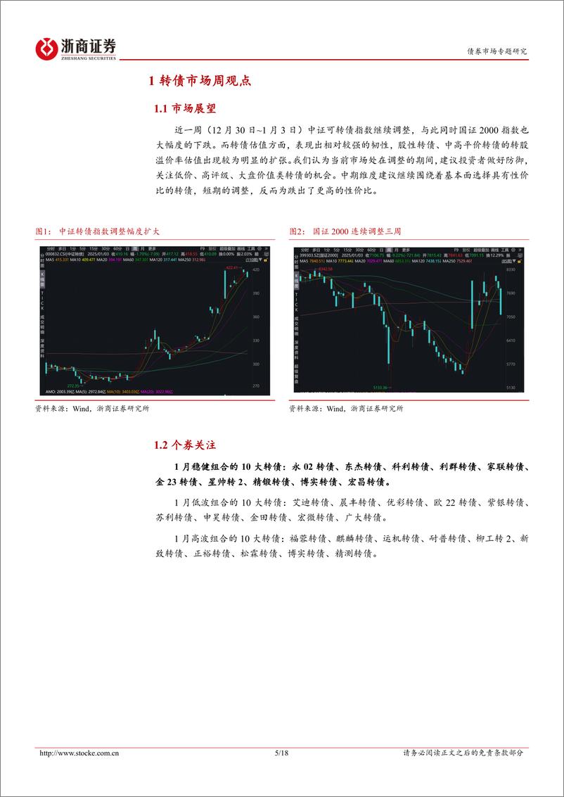 《1月10大转债：调整后性价比更高-250106-浙商证券-28页》 - 第5页预览图