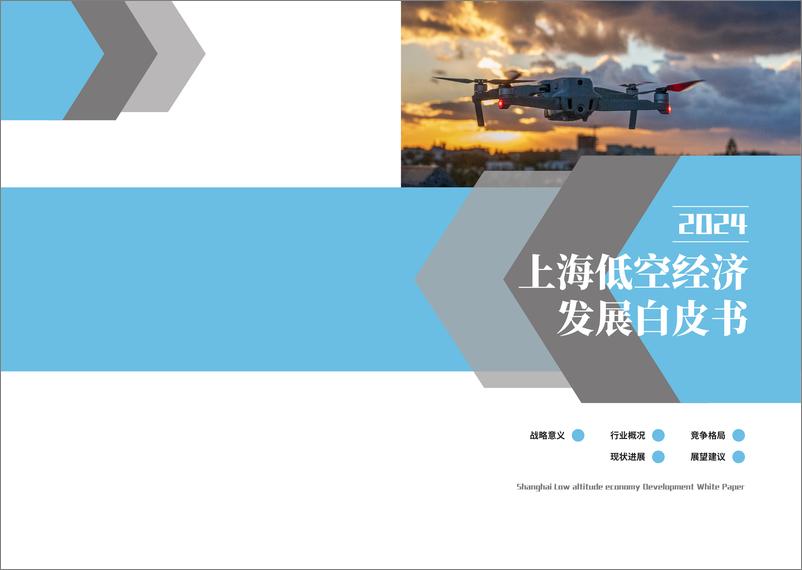 《2024上海低空经济发展白皮书》 - 第1页预览图