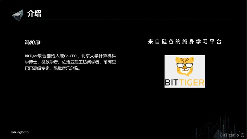 《【T112017-教育生态与人才培养分会场】数据科学、数据工程、数据分析 知识体系构建和培训实践》 - 第2页预览图