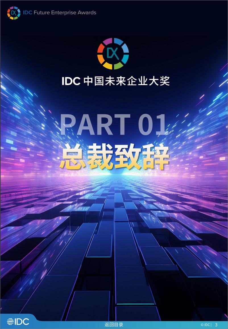 《2024 IDC中国未来企业大奖 年度金典-530页》 - 第3页预览图