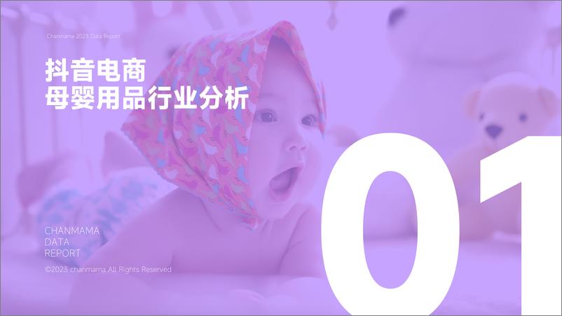 《2023年抖音电商母婴用品行业报告-蝉妈妈-2023.03-39页》 - 第4页预览图