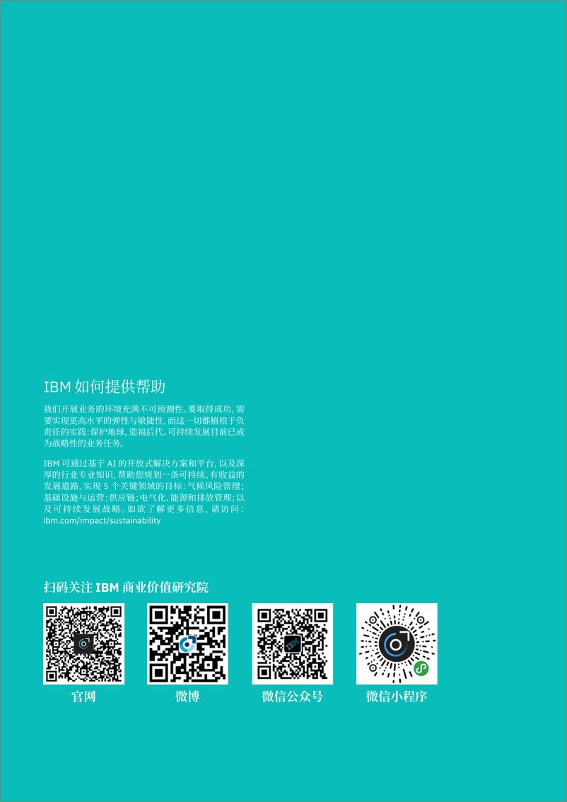 《IBM-可持续发展：转型之催化剂—开拓者将愿望转化为行动-32页》 - 第3页预览图