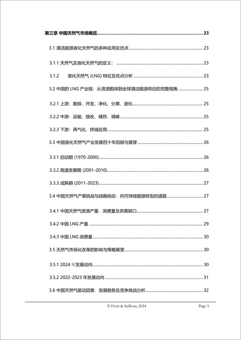 《2024中国天然气市场独立研究报告-沙利文》 - 第3页预览图