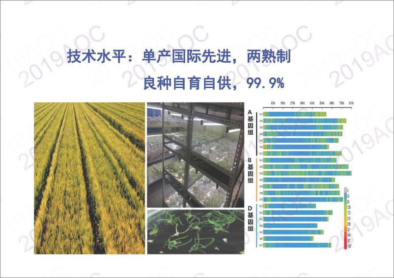 《2019中国农业展望大会：中国小麦产业现状与展肖世和，中国农业科学院作物科学研究所研究员-2019.4-24页》 - 第8页预览图