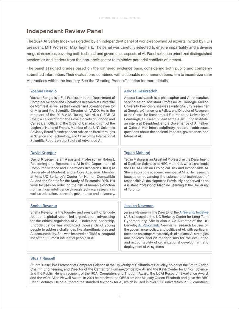 《FLI人工智能安全指数2024（英）-79页》 - 第4页预览图