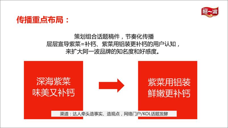 《阿一波紫菜公关推广方案【食品饮料】【零食】【品牌传播】【社交媒体营销】》 - 第5页预览图