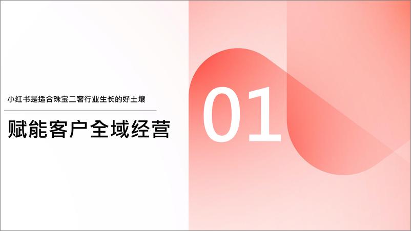 《2024小红书珠宝二奢行业营销通案》 - 第2页预览图