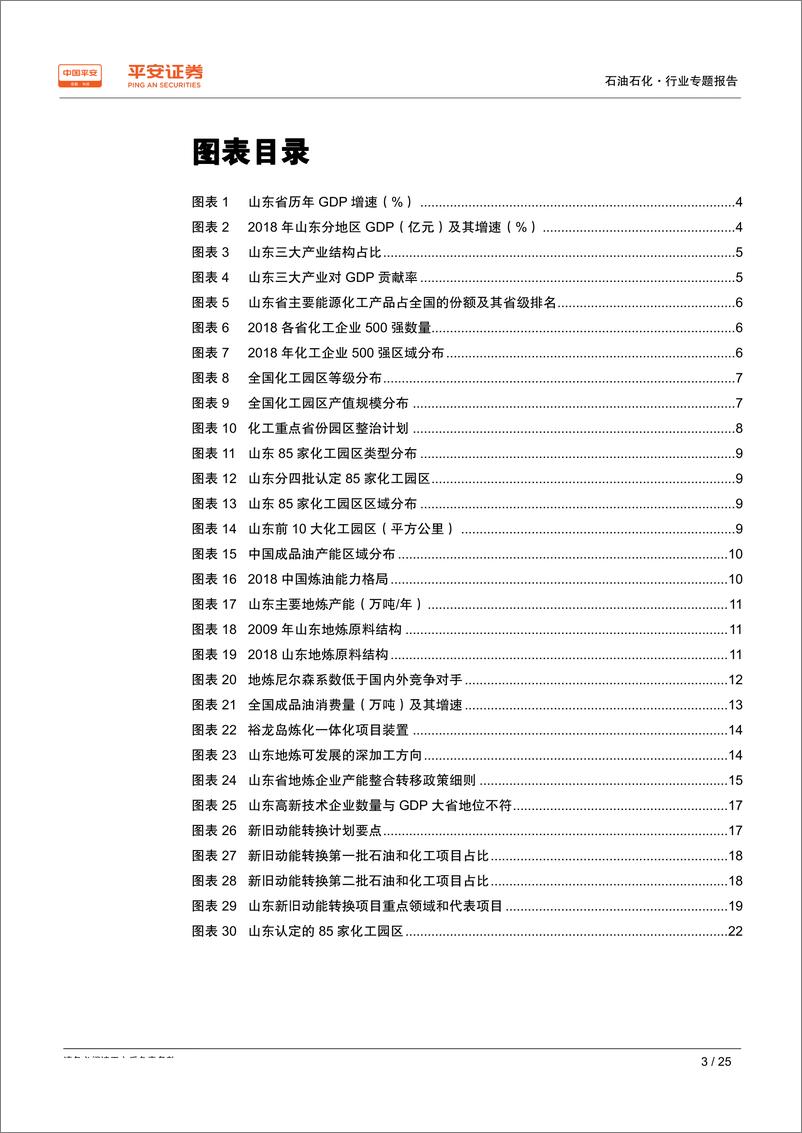 《石油石化行业能源化工区域专题报告~山东篇：新旧动能转换，化工园区治理，化工大省产业升级在路上-20191014-平安证券-25页》 - 第4页预览图