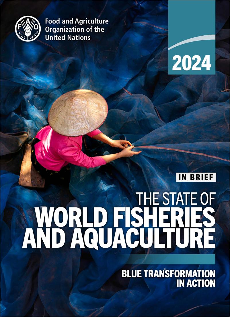 《FAO联合国粮农组织：2024世界渔业和水产养殖状况报告（英文版）》 - 第1页预览图