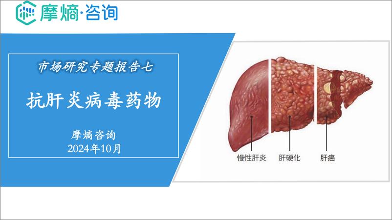 《2024年市场研究专题报告七-抗肝炎病毒药物》 - 第1页预览图
