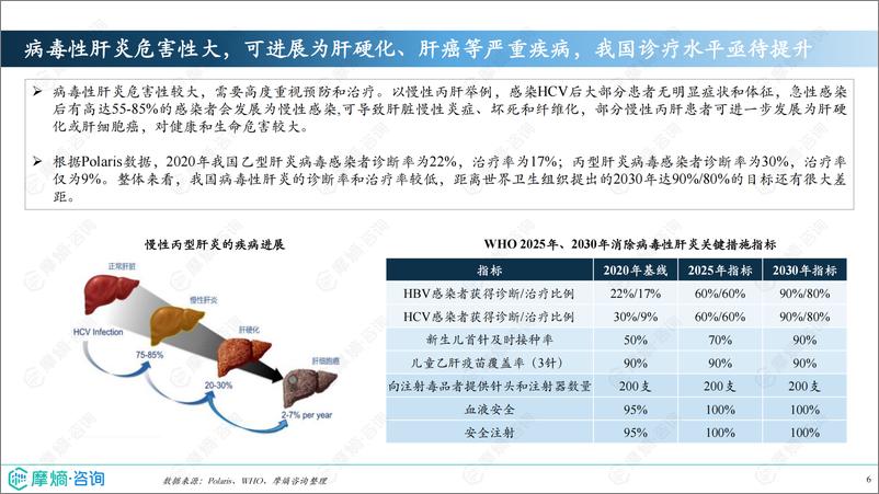 《2024年市场研究专题报告七-抗肝炎病毒药物》 - 第6页预览图