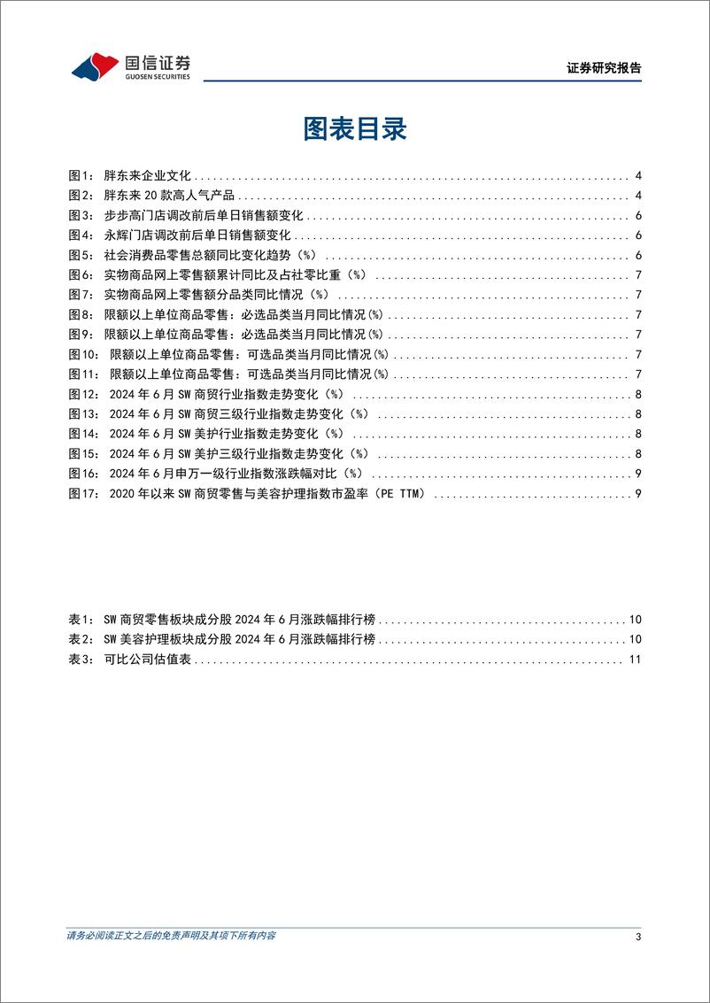 《商贸零售行业7月投资策略：线下零售积极求变，胖东来调改为传统商超注入活力-240704-国信证券-13页》 - 第3页预览图