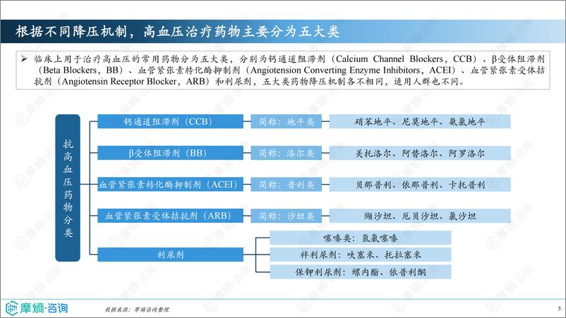 《2024年市场研究专题报告十一-钙通道阻滞剂》 - 第5页预览图