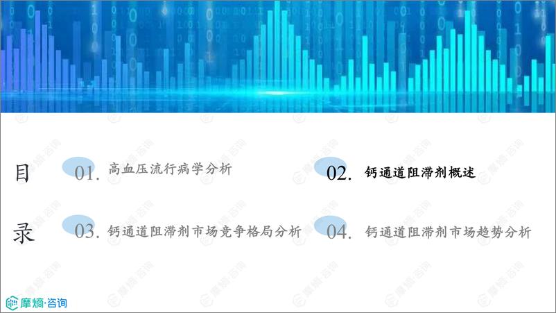 《2024年市场研究专题报告十一-钙通道阻滞剂》 - 第6页预览图