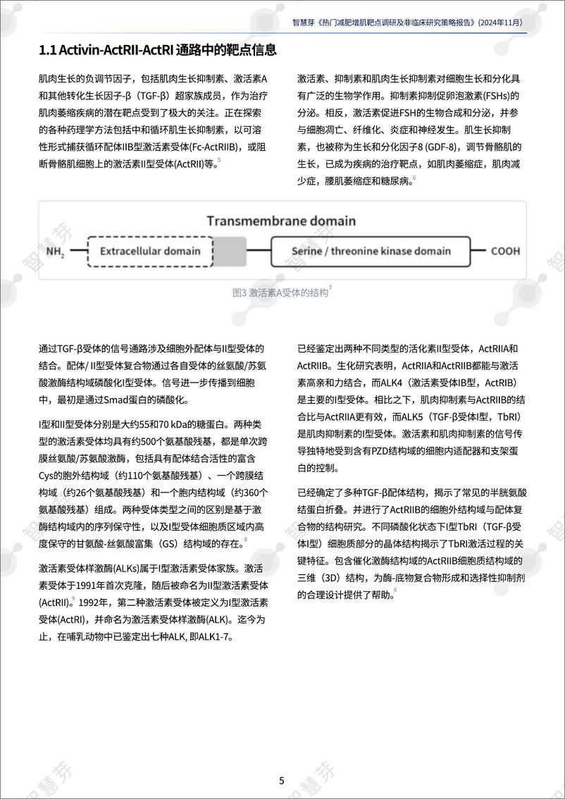 《热门减肥增肌靶点调研及非临床研究策略报告-32页》 - 第5页预览图